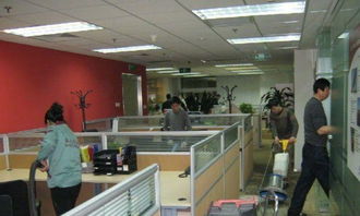 金山區專業保潔服務 高效清潔，打造潔凈商業與居住環境