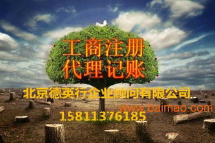 金融服務外包公司轉(zhuǎn)讓 聚焦金融信息技術(shù)外包的全方位指南